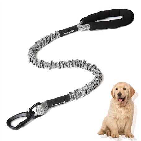 WDDT Laisse Chien Élastique