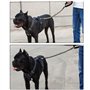 WDDT Laisse Chien Élastique, en Nylon, Corde Solide Anti Traction ​Grande Taille, Élastique pour Animaux Compagnie, avec Poignée