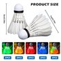 Lot de 10 balles de badminton à LED en plumes d'oie - 5 couleurs LED - En nylon - Pour le sport - Volants lumineux pour la nuit 