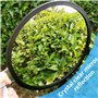Global Care Market Miroir de Recherche de Véhicule Portable - Miroir Inspection Télescopique pour Contrôle de Sécurité sous Voit