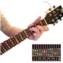 Autocollant de Frettes de Guitare Sticker Guitare pour Débutant Autocollant pour Guitare Electrique Touche Autocollant Note Guit