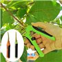 Sécateur de Jardinage à Main pour Bonsaï