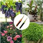Secateur de Jardin (2 PCS), Sécateur de Jardinage à Main pour Bonsaï, Professionnel Ciseaux De Jardinage, pour Branches, Fleurs 