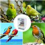 Sipiris Lot de 2 mangeoires automatiques pour oiseaux - Distributeur automatique de nourriture - Cage à oiseaux - Distributeur a