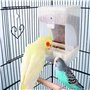 Sipiris Lot de 2 mangeoires automatiques pour oiseaux - Distributeur automatique de nourriture - Cage à oiseaux - Distributeur a