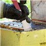 KINGLAKE Outil de Grattoir pour l'Apiculture, Grattoir de Ruche en Acier Inoxydable,Fournitures et Equipements pour l'Apiculture
