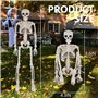 Squelette Décoratif pour Halloween Squelette Complet avec Articulations Mobiles