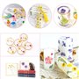 NVIYAM 66Pcs Fleurs Sechees Naturelles Vraies Fleurs Pressées Séchées Ensemble de Fleurs Séchées Pressées Naturelles Bricolage M