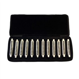 East Top Lot de 12 Harmonica Diatonic Blues Professionnel 10 trous