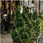 Firschoie 12 Pièces Guirlande Lumineuse à Pile, Guirlande LED 2.2 M Fil de cuivre étanche, Guirlande lumineuse blanc chaud, pour