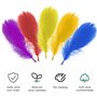 Plume Decoration