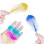 Plumes Loisirs Creatifs pour le Bricolage