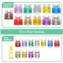 Xpieoyrm Kit de Fusibles pour voiture, 300 Pièces Lame Fusibles, 150 Mini Fusibles Auto+150 Standard Fusibles Automobile+1 Extra