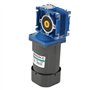 Moteur à Courant Alternatif 220V, Moteur réducteur de Vitesse 90W 1400 TR/Min Moteur à vis sans Fin 5MW CW/CCW 5M90GN-C RV30 ave