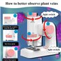 AiNinXun Microscope portable de poche pour enfants, garçons et filles, cadeau scientifique, microscope monoculaire 200x avec lum