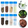 50 Pièces Tube a Essai Plastique, Tube a Essai En Plastique Avec Bouchon à Vis, Tube Plastique Transparent Avec Marquage De L'éc