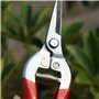 Adapté à la Taille des Branches Dans le Jardin et à la Taille des Fleurs(