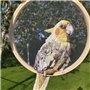 Broderie - Cadre de cercle en bois de cercle de broderie à la main pour l'outil de bricolage de broderie à l'aiguille (Édition :