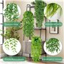 Fausse Plante Interieurk