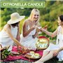 SaiXuan Bougie Citronnelle – 9 Bougies Parfumées Naturelles en Boîte Métal Dorée – Citronnelle avec Cire de Soja – Bougie Anti M