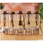 Itian Vintage Coastal Clear Glass Wishing Bottles avec des Bouchons en liège et Une Coquille de Plage À l'intérieur pour Un Cade
