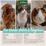 Animaux domestiques 20ml - Soin Doux pour Les acariens