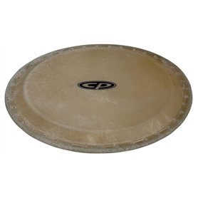 Latin Percussion