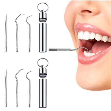 2 PièCes/Set Cure-Dents en Métal en Acier Inoxydable Ensemble de Cure-dents Portable Dents Outils de Nettoyage pour Pique-Nique