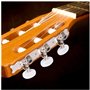 Boutons des mécaniques de guitare