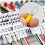 150 Pièces Connecteur à Sertir Anneau Électrique Set, Bornes Isolées à Sertir, Cosse a Sertir, Cosses Electriques