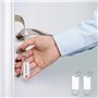 Lot de 30 porte-clés inscriptibles, marquage transparent, comité de classification des articles, utilisé pour marquer les animau