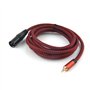 SiYear Jack mini 3,5 mm (1/8 pouce) TRS vers XLR mâle smartphone vers table de mixage stéréo câble microphone déséquilibré (10 F