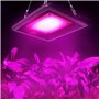 Relassy Lampe Horticole, 50W LED Croissance Plante, COB Culture Spectre Complet IP67 Imperméable, Grow Light avec 4 Crochets Et 