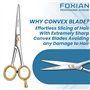 Foxian Ciseaux de coiffure professionnels pour barbiers et coiffeurs 6 pouces en acier inoxydable avec peigne pour hommes et fem