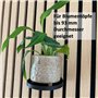 js3dmanufaktur Lot de 2 plateaux pour plantes Support de plantes Anneau de plante Pot de fleurs Plante pour mur Panneaux acousti