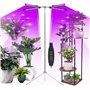 Carastek Lampe de Plante