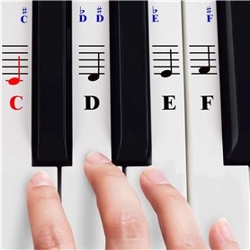 Autocollants Piano Pour Touches De Clavier 49/61/ 76/88 – Transparents Et Amovibles