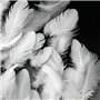Frogetu 200 Plume Decoration