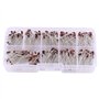 200pcs 1W Diode Zener 8.2V-22V avec Boîte de Rangement 10 Modèles 1N4738-1N4748