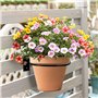 3 Pièces Tenture Murale Pot de Fleur, Bague Pot de Fleurs en Métal, Mur d'étagère de Pot de Fleur, Convient pour Suspendre des P