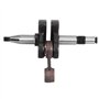 AUNMAS Accessoire de Vilebrequin de Vilebrequin adapté pour 362365371372372 XP/XPW/X-TORQ/EPA