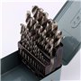 Coffret Foret Metal Lot de 25 Forets Hélicoïdaux HSS avec Boîte de Rangement en Métal pour Bo