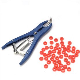 KSTE Pince de Castration
