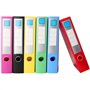 PINGEUI Lot de 6 boîtes de rangement A4 en plastique de grande capacité avec couvercle pour le bureau, la maison, l'école, 6 cou