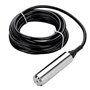 Capteur de niveau de liquide de type à insertion DC24V Transmetteur de capteur de niveau de liquide immergeable 4-20mA