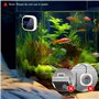 Thermomètre Aquarium Thermometre Aquarium Eau Douce Mini Thermomètre D'Aquarium Eau de Mer LED Capteur de Température Haute Préc