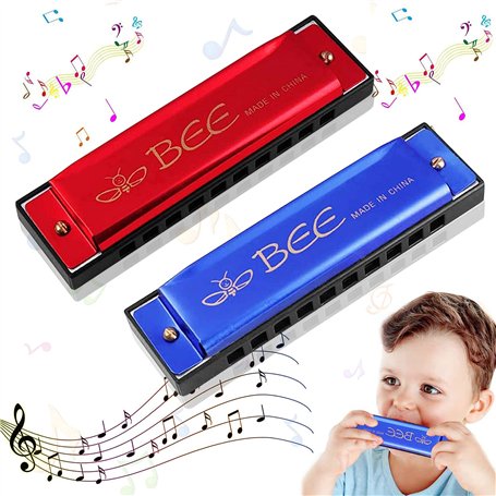 Lot de 2 Harmonica diatonique pour enfants - Harmonica diatonique à 10 trous - Harmonica major blues - Harmonica pour enfants -