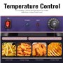 MOOTACO Friteuse électrique Inox 16L Professionnelle Commerciale,3000W Acier Inoxydable Friteuse avec robinet
