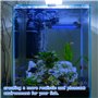 Bordeag Led Lampe Aquarium 30cm 24/7 Éclairage Aquarium, Éclairage D'aquarium Rampe Led D’Aquarium Spectre Complet Rampe Led Aqu