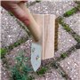 Herbes Brosse A Joints P